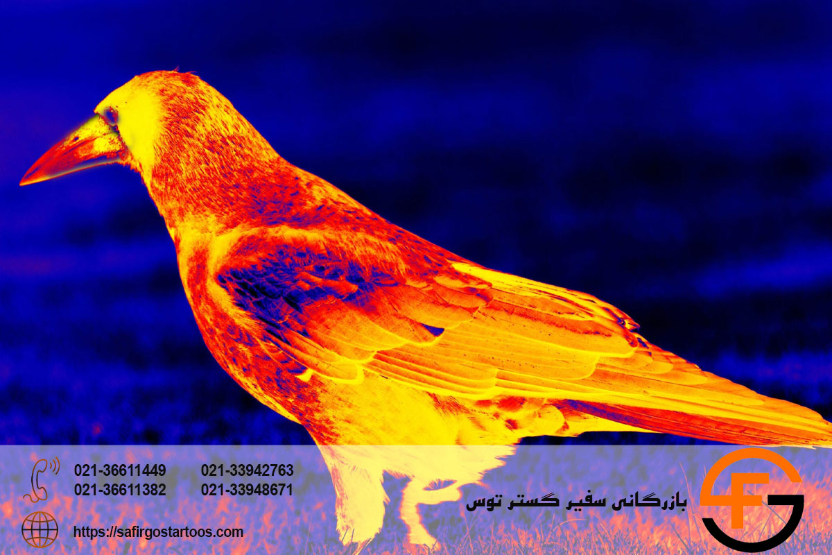 دوربین حرارتی (ترموویژن) چیست